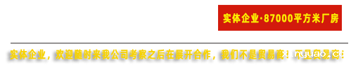 开云网页版本厂家